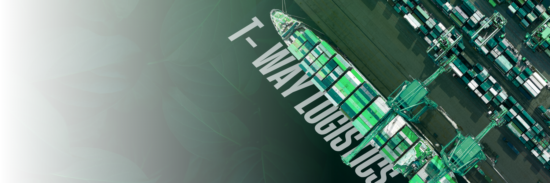 T-WAY LOGISTICS SINGAPORE PTE.LTD: IFF SERVICE