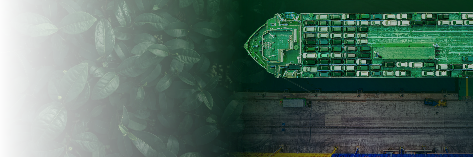 T-WAY INSURANCE: Agent of CHUBB