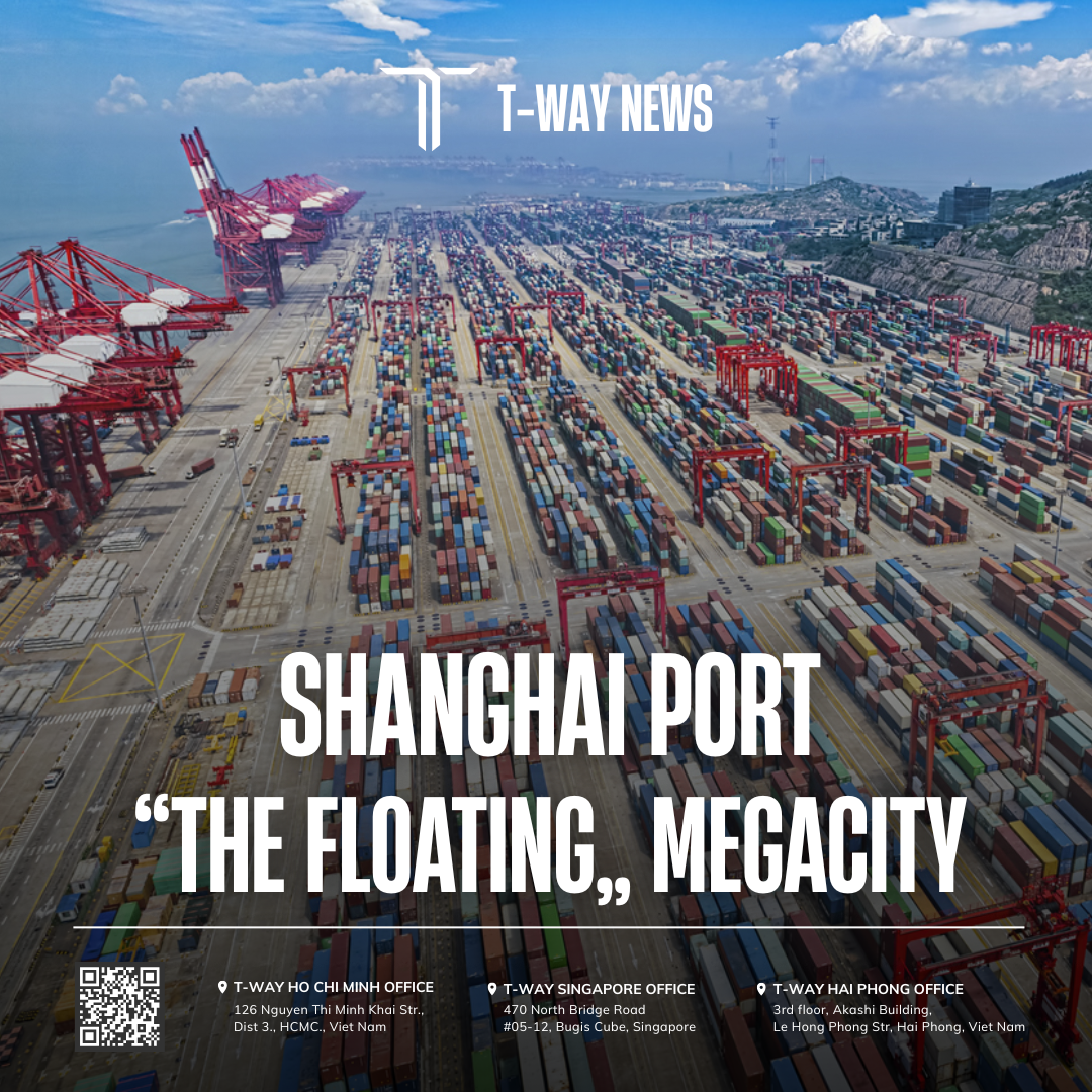 THE PORT OF SHANGHAI: NOT JUST A PORT, IT'S A "MEGACITY" ON THE WATER